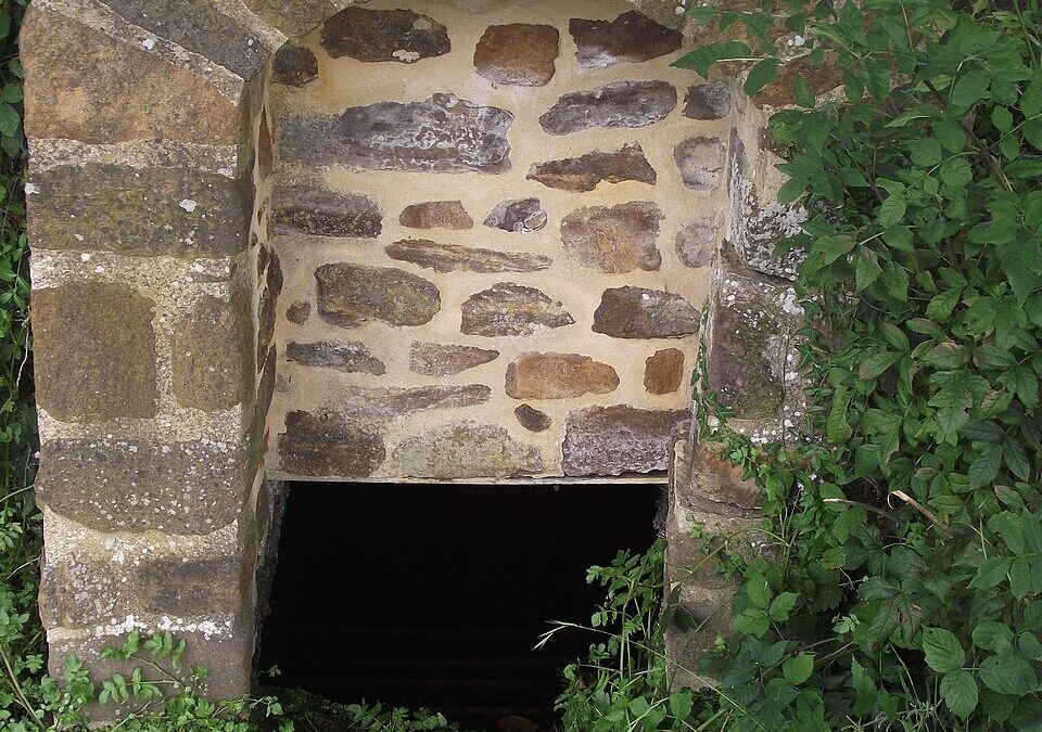 La source de la Sarthe